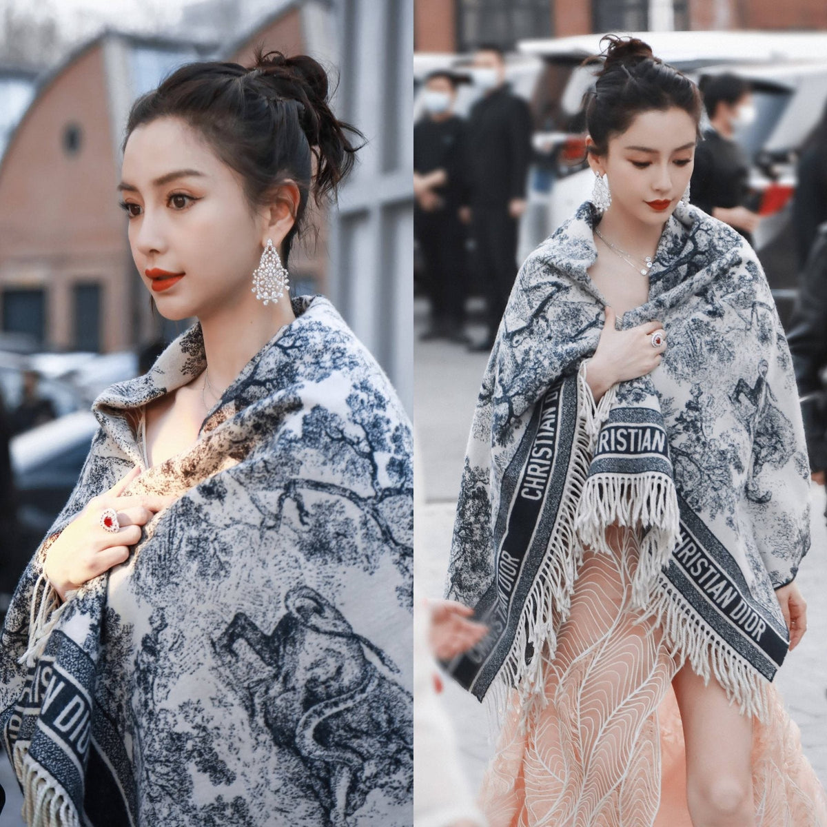 Dior Navy Toile Fringed Shawl — model