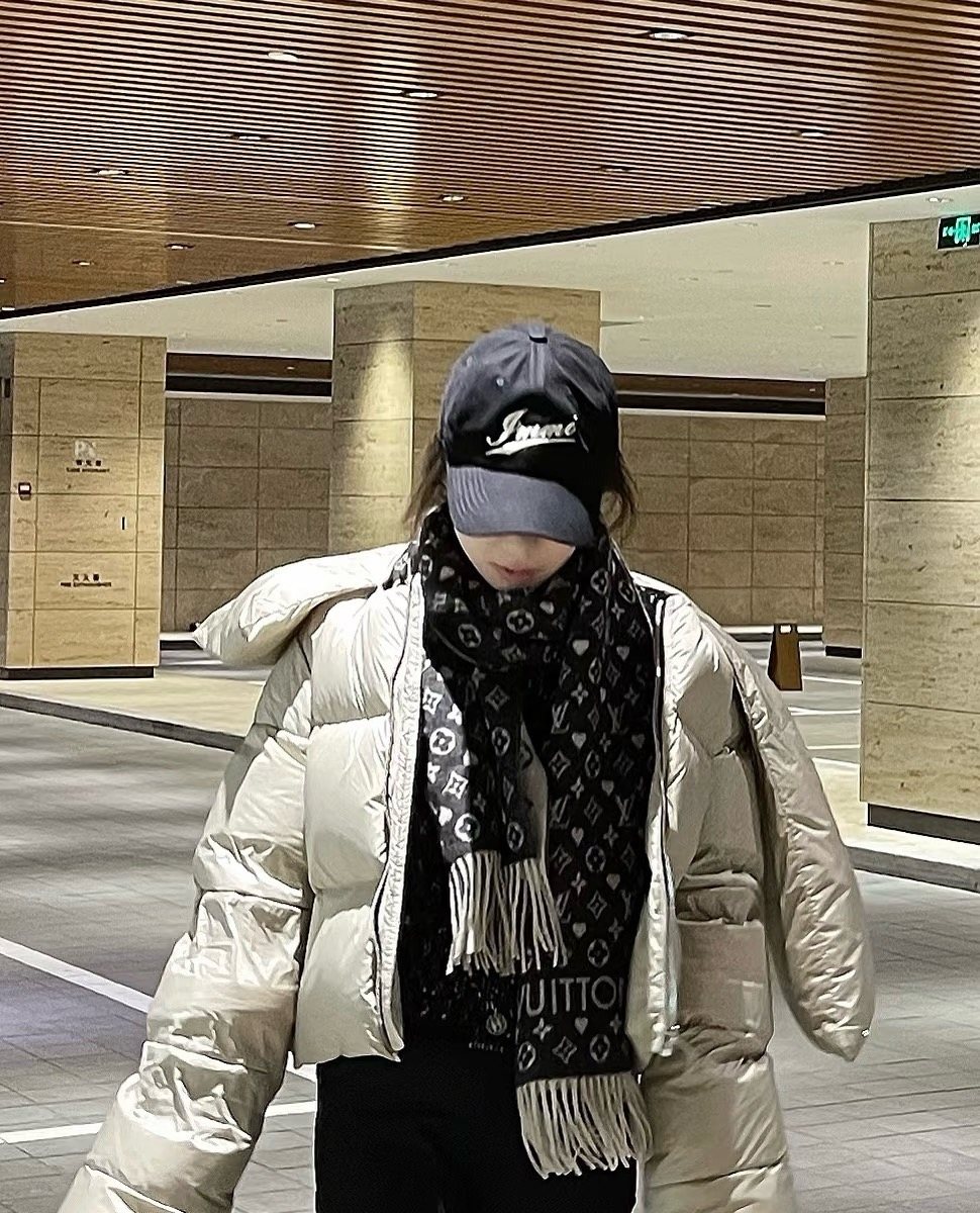 Louis Vuitton Monogram Stripe Fringe Scarf — model